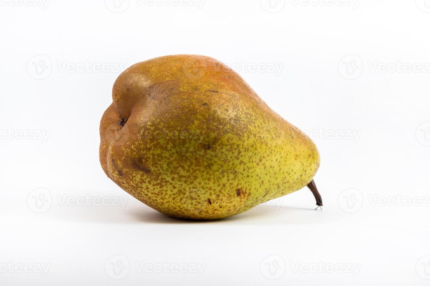 Large pear tree on white isolated background photo