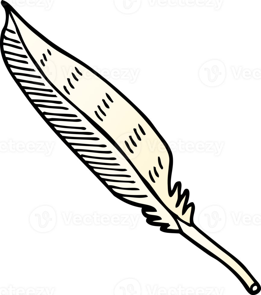 png gradient illustration cartoon feather