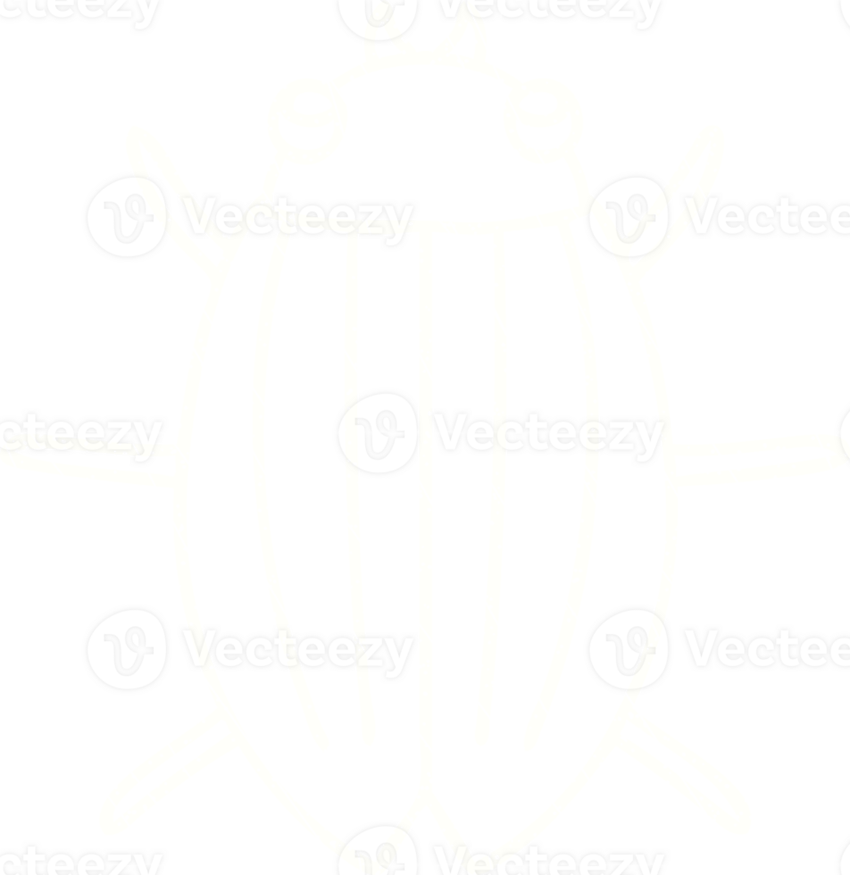 Beetle Chalk Drawing png