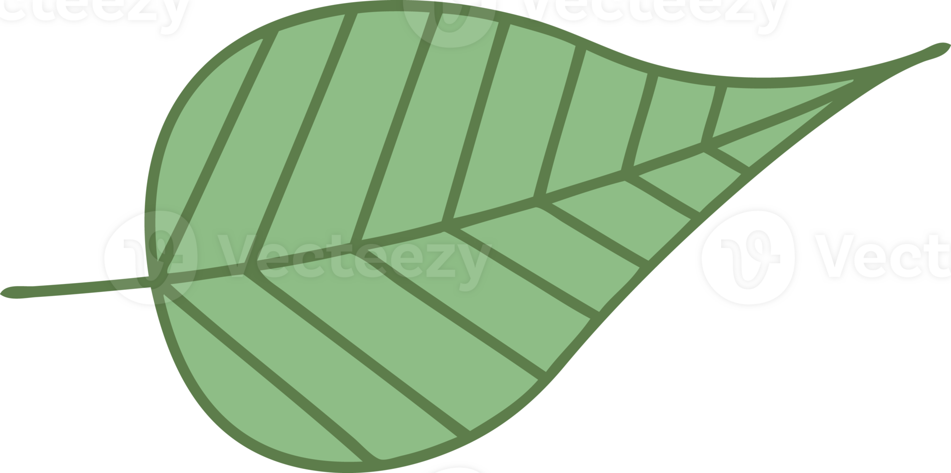 flat color retro cartoon green leaf png
