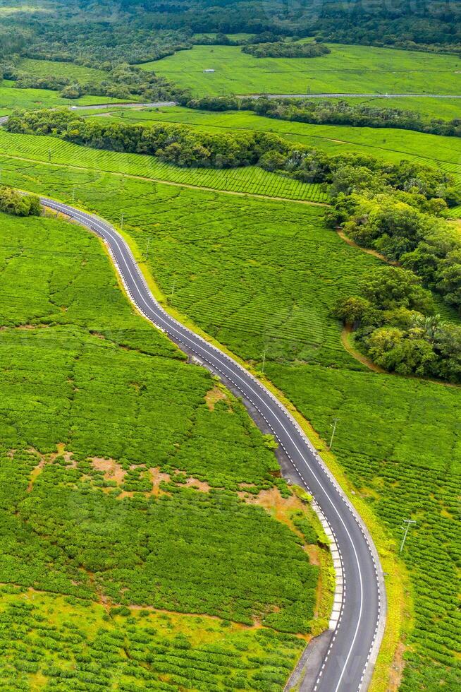 aéreo ver desde encima de un la carretera paso mediante té plantaciones en el isla de mauricio, Mauricio foto