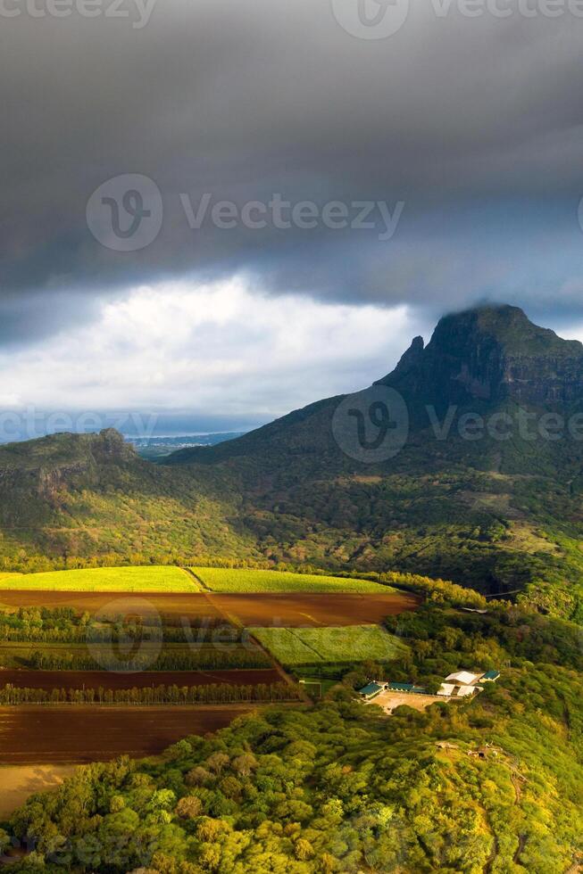 View from the height of the sown fields located on the island of Mauritius photo