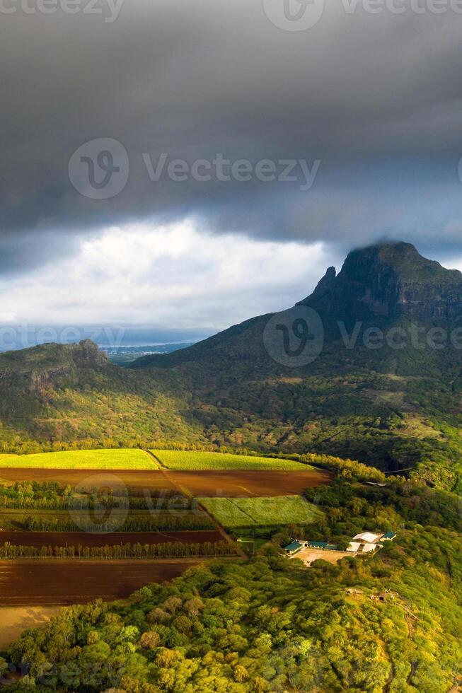 ver desde el altura de el sembrado campos situado en el isla de Mauricio foto