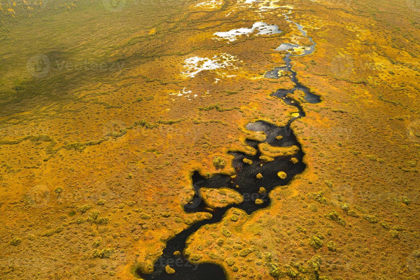 An aerial view of an autumn bog in Yelnya, Belarus, autumn. Ecosystems ecological problems climate change photo