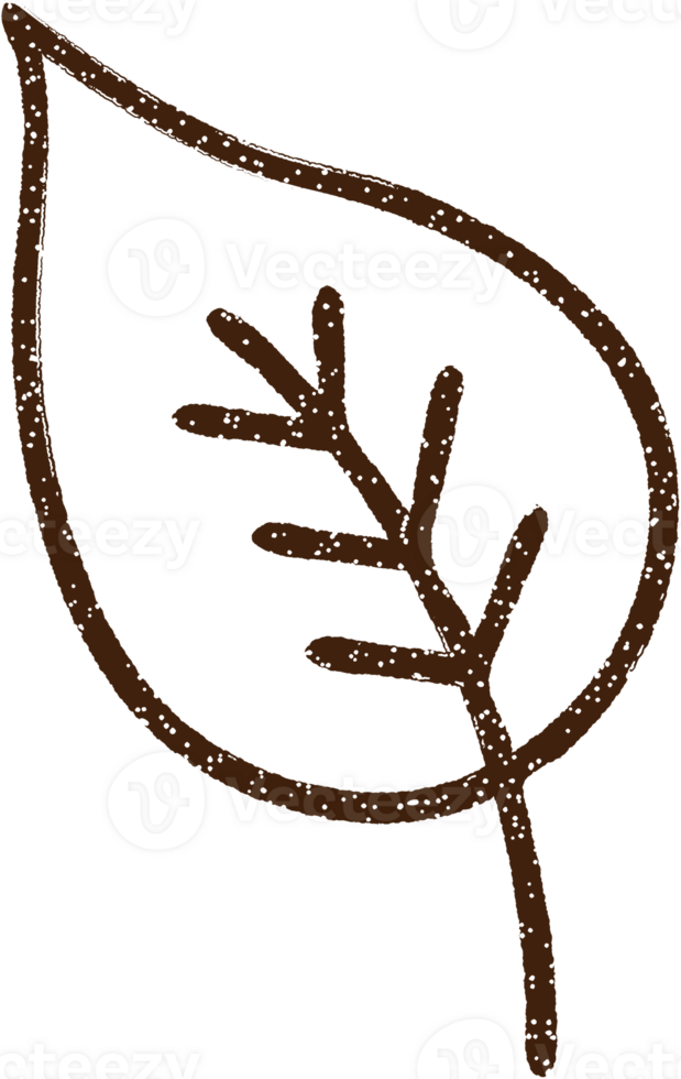 Old Leaf Charcoal Drawing png