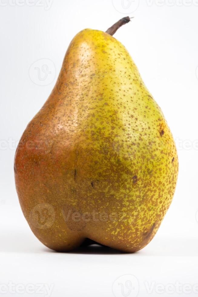 Large pear tree on white isolated background photo