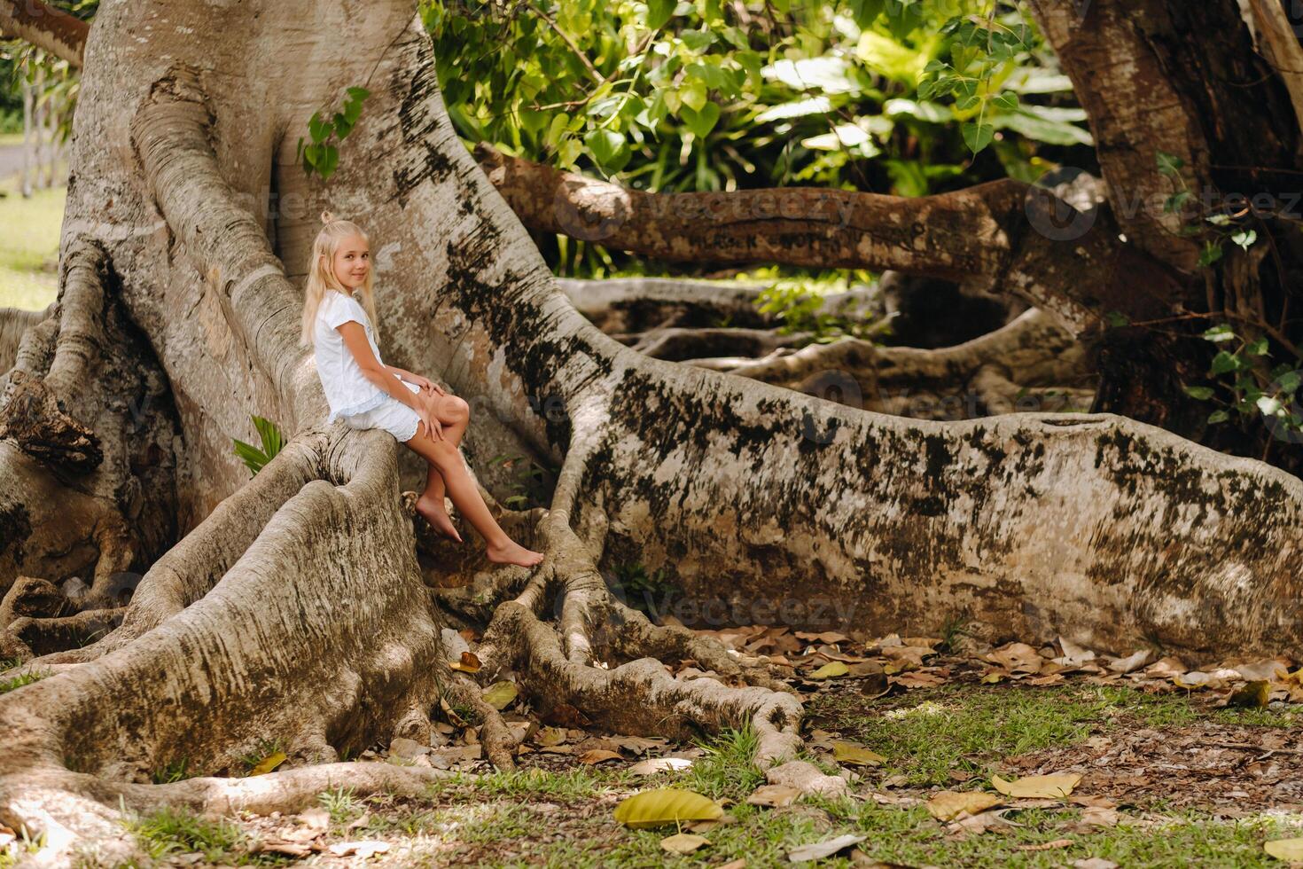 Summer portrait of a happy little girl on the island of Mauritius sitting on a huge tree.A girl sits on a large tree in the Botanical garden of the island of Mauritius photo