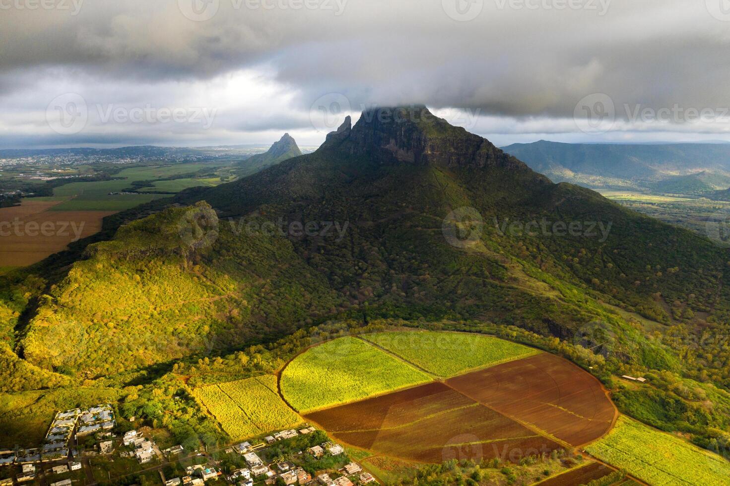 View from the height of the sown fields located on the island of Mauritius photo