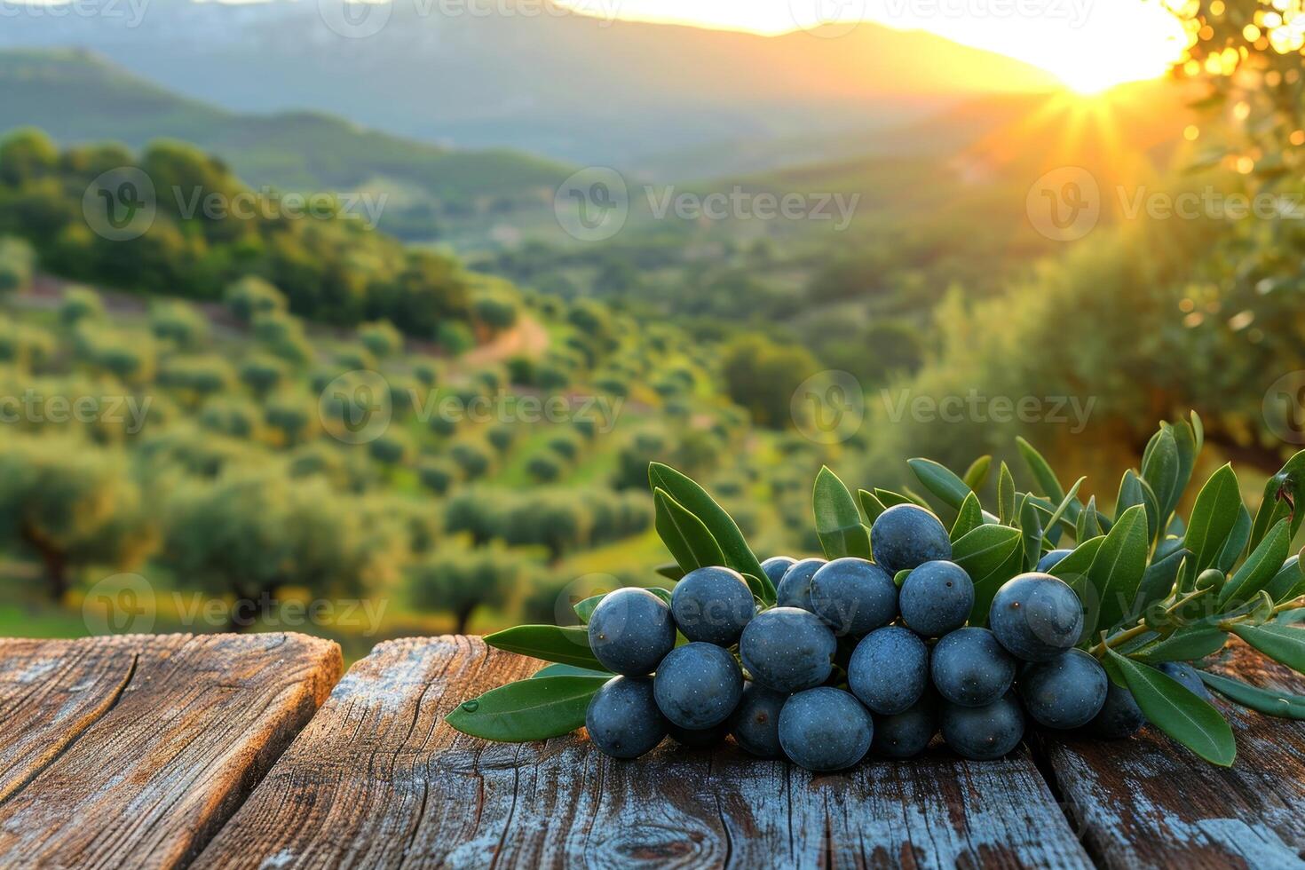 AI generated still life with blue olives on a table in an olive grove photo