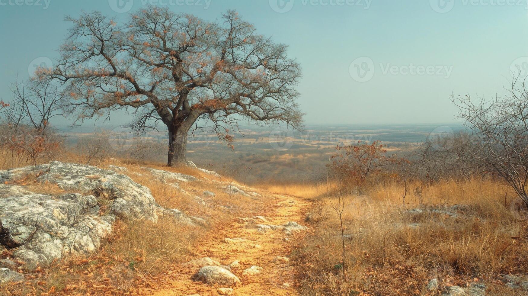 AI generated A lonely tree in autumn photo