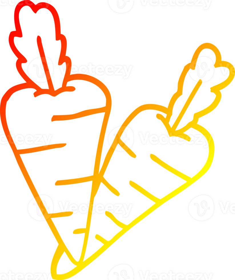 warm gradient line drawing of a cartoon organic carrots png