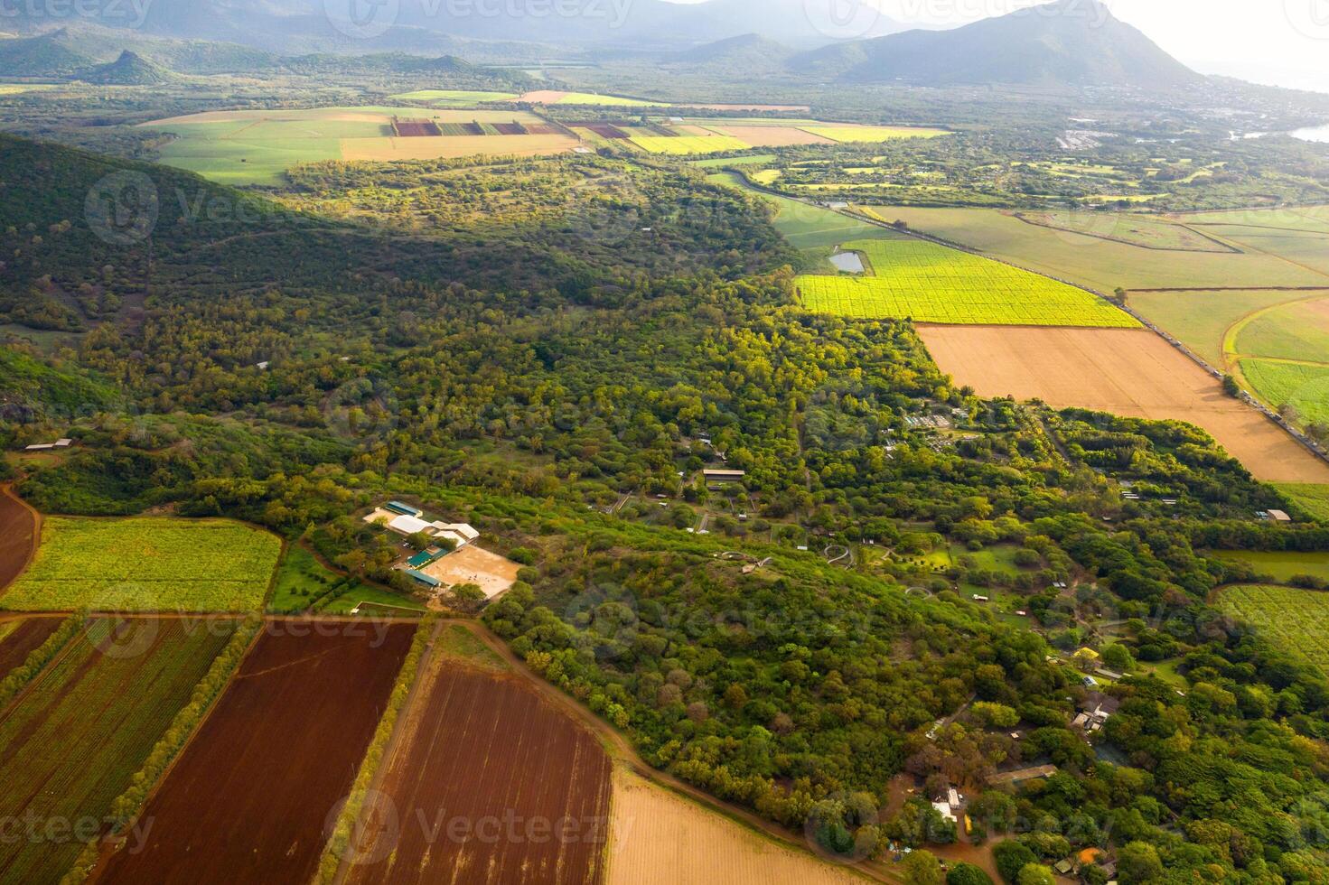 View from the height of the sown fields located on the island of Mauritius photo