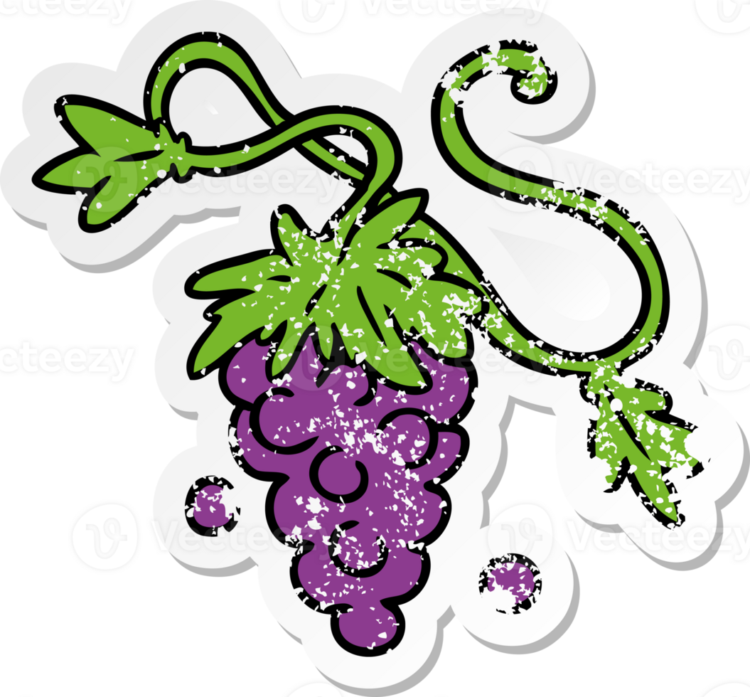 hand drawn distressed sticker cartoon doodle of grapes on vine png