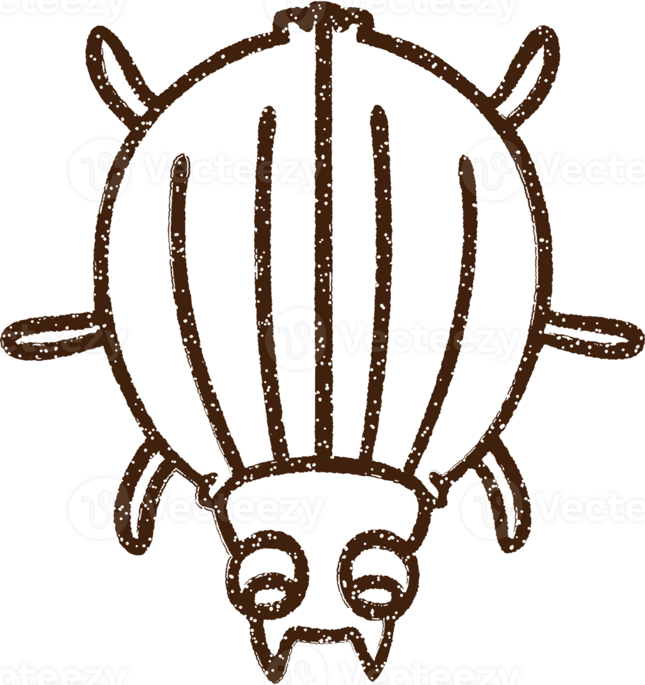 Beetle Charcoal Drawing png