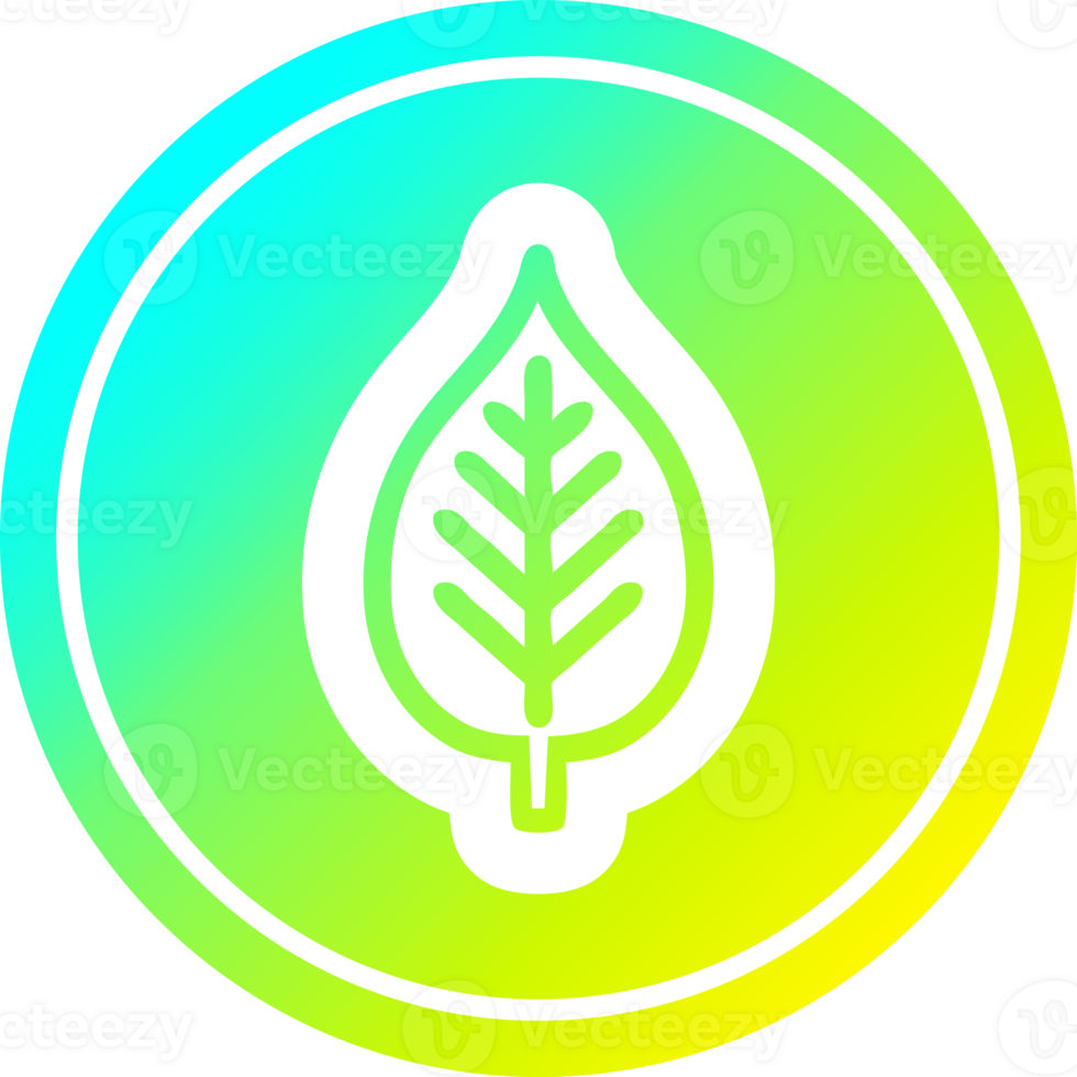 natural leaf circular icon with cool gradient finish png