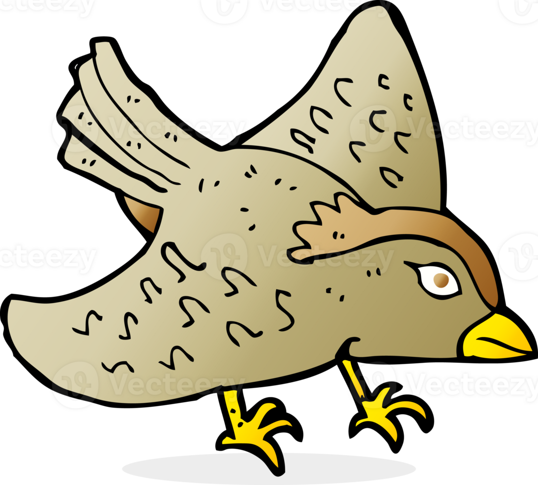 cartoon garden bird png