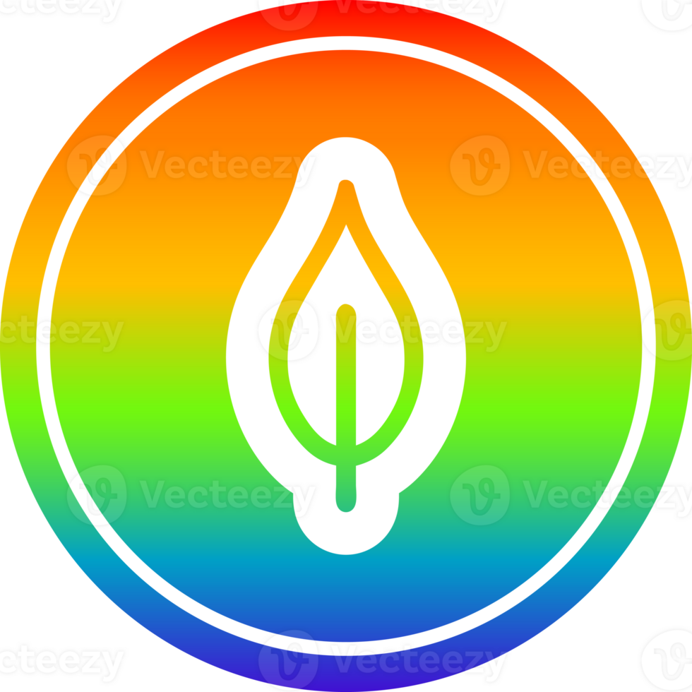 natural leaf circular in rainbow spectrum png