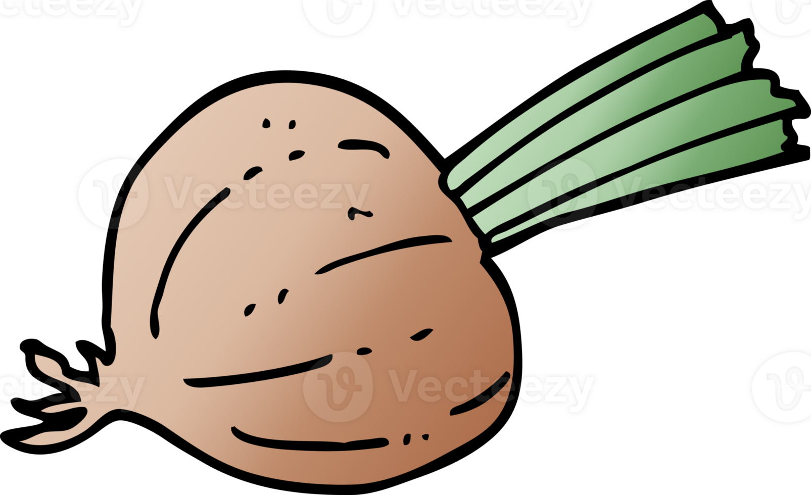 cartoon doodle old onion png
