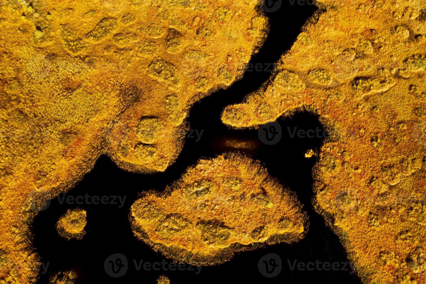 An aerial view of an autumn bog in Yelnya, Belarus, autumn. Ecosystems ecological problems climate change photo