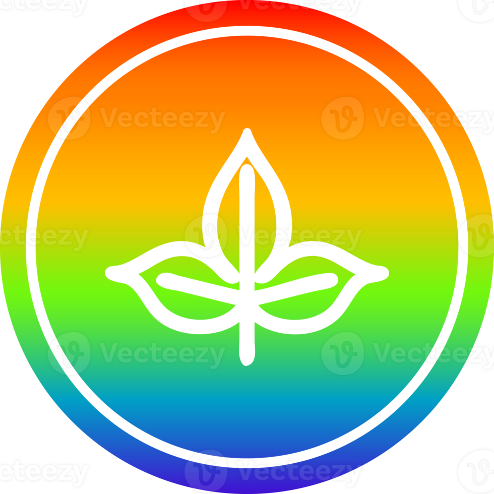 natural leaf circular in rainbow spectrum png