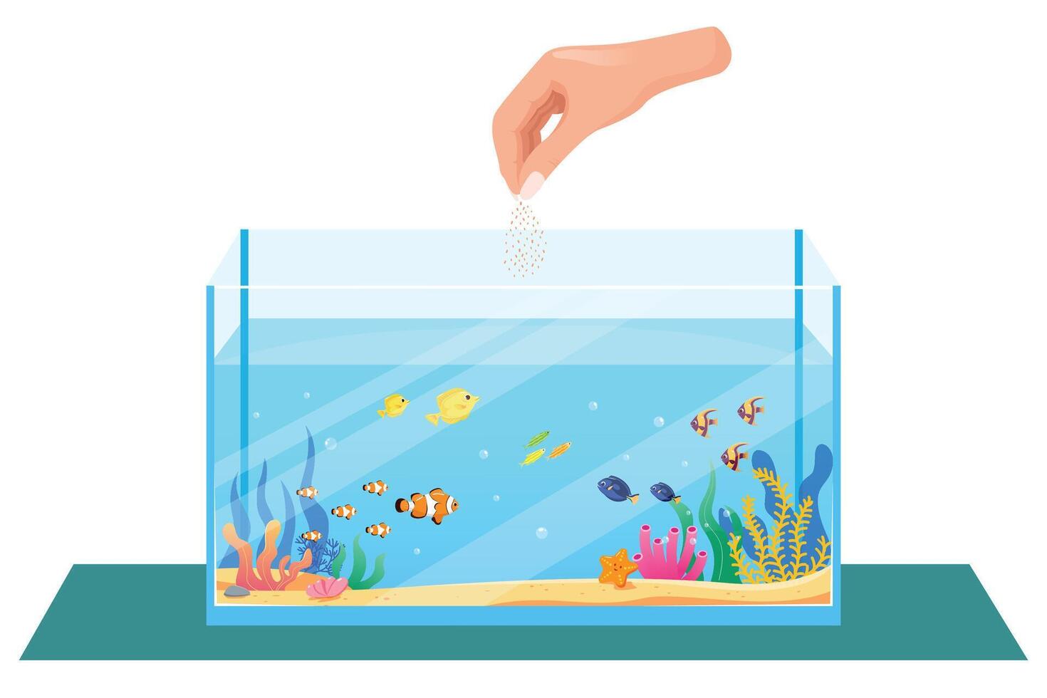 Vector fish food in a rectangular aquarium, Feeding aquarium fish. Pets flat vector illustration