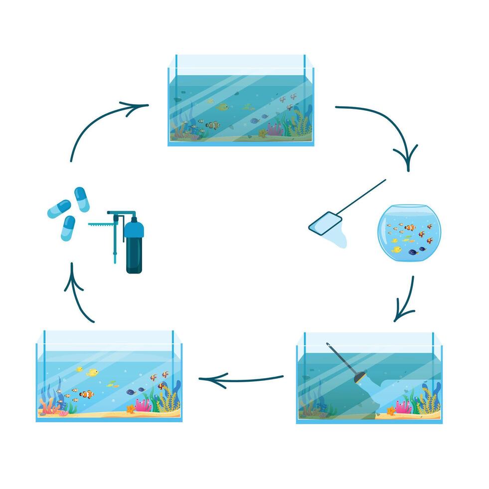 rectangular pescado tanque con sucio y limpiar Fresco agua. etapas de limpieza un pescado tanque. departamento, dibujos animados, vector