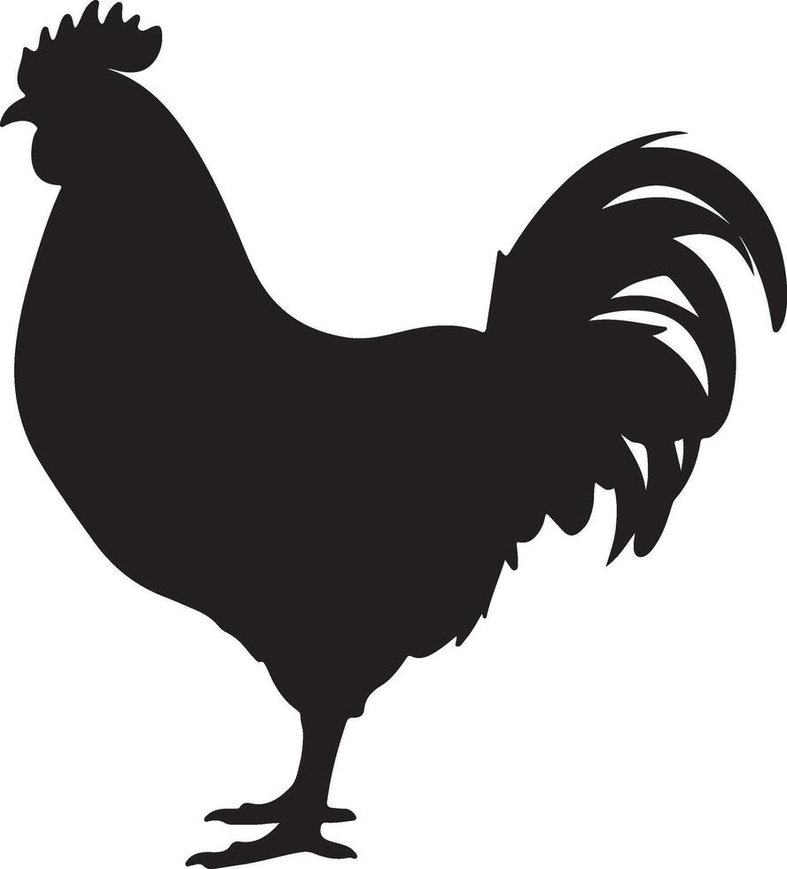 Chicken Silhouette Vector Illustration White Background