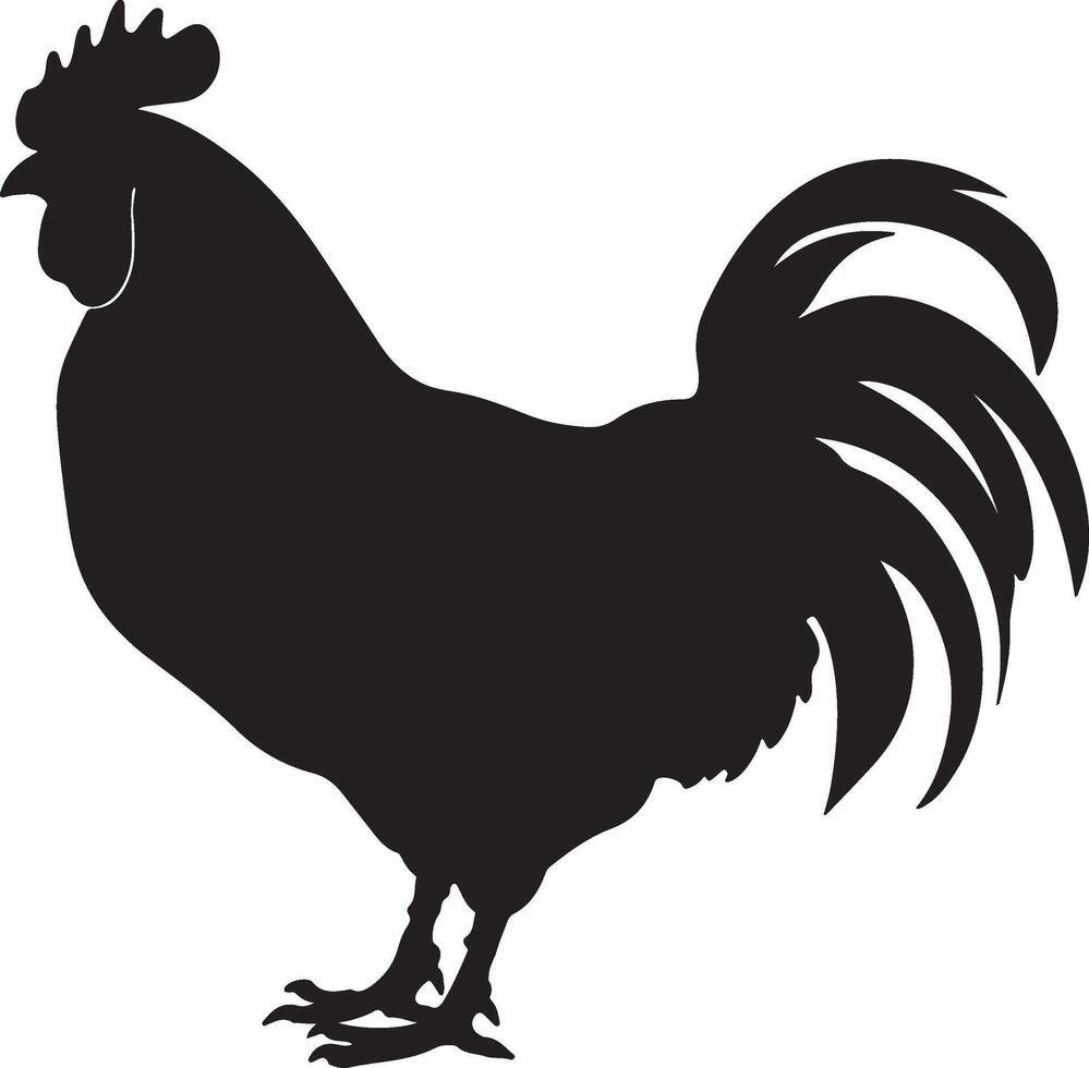 Chicken Silhouette Vector Illustration White Background