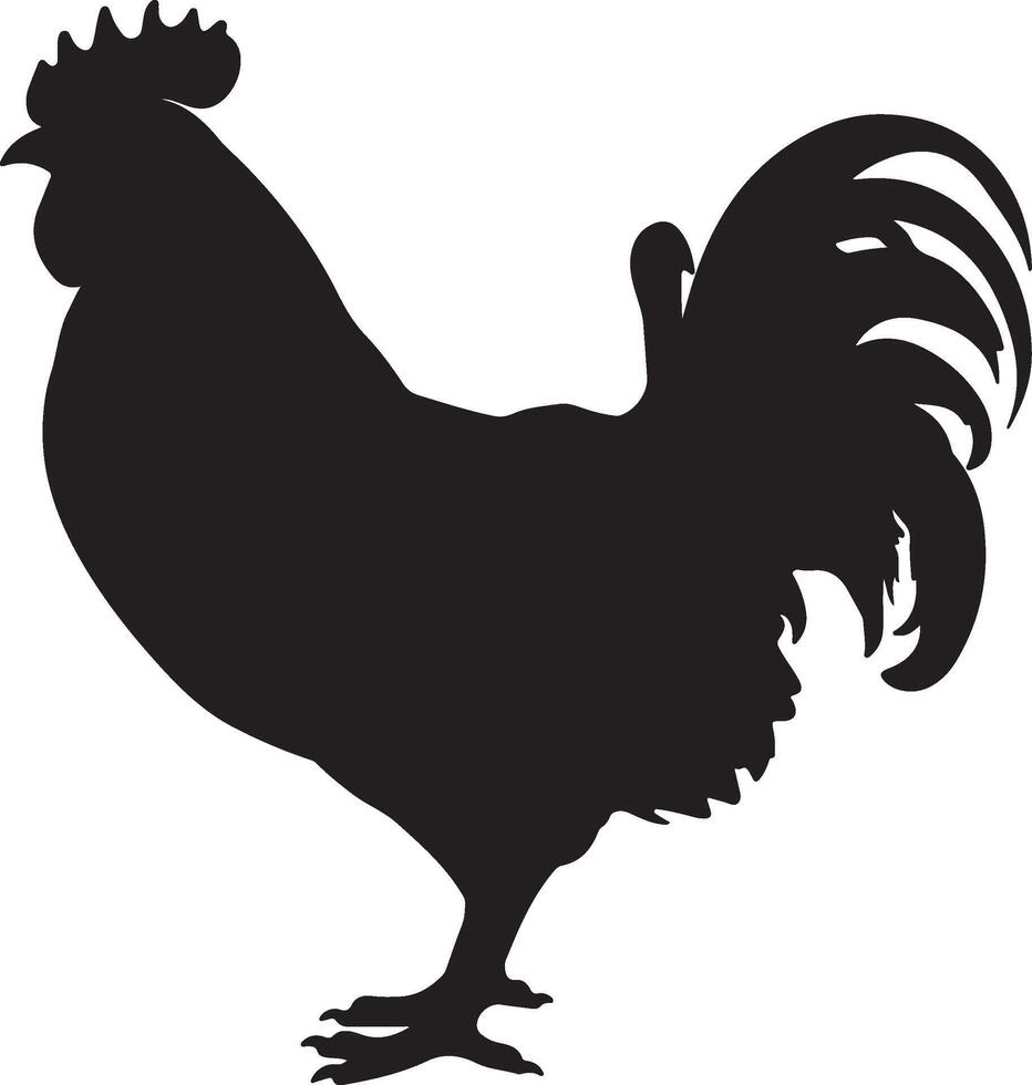 Chicken Silhouette Vector Illustration White Background