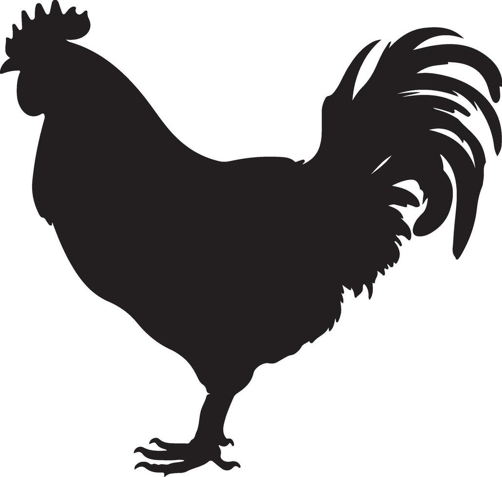 Chicken Silhouette Vector Illustration White Background