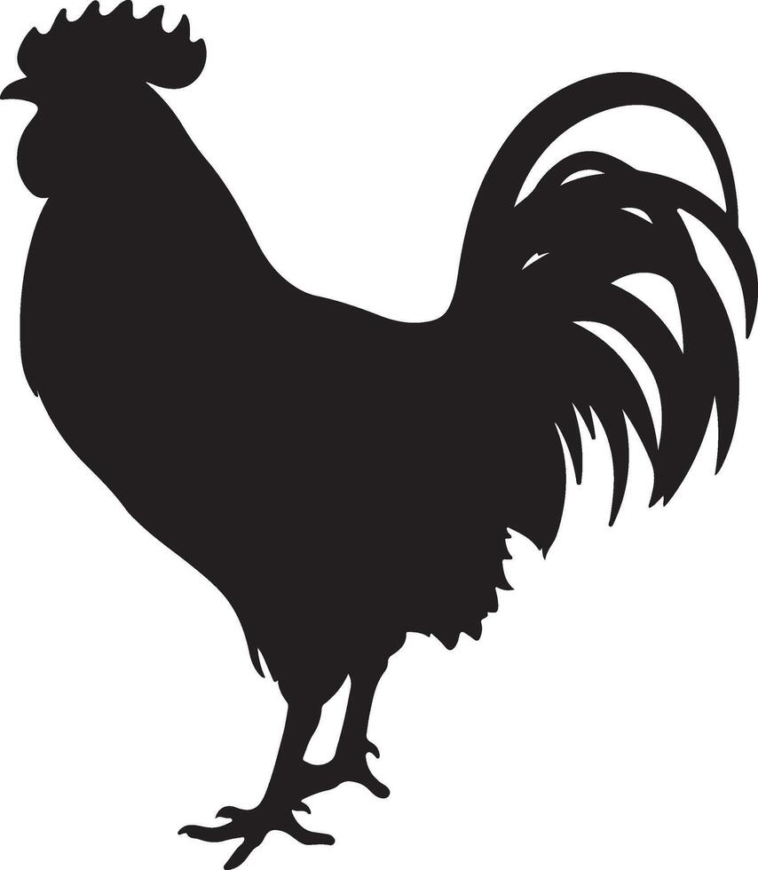 Chicken Silhouette Vector Illustration White Background