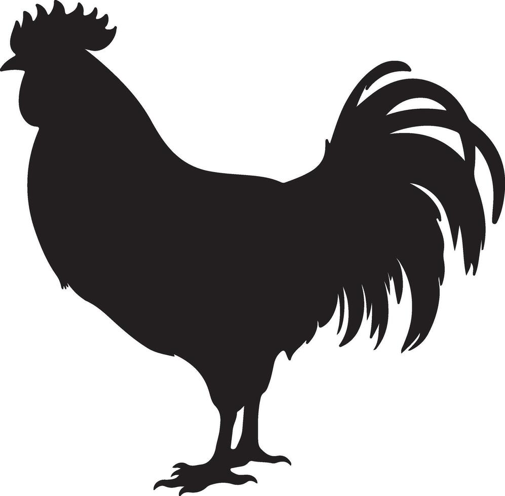 Chicken Silhouette Vector Illustration White Background