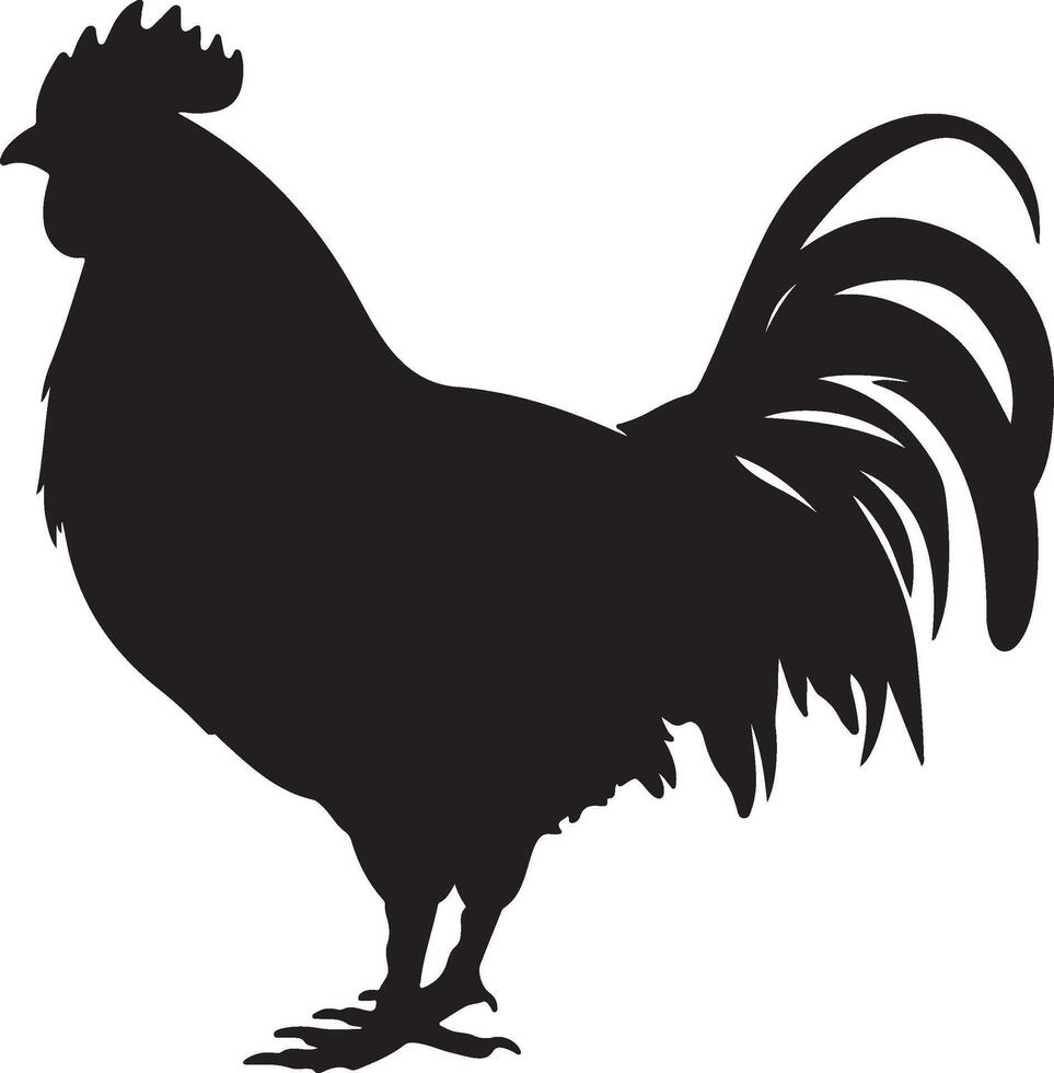 Chicken Silhouette Vector Illustration White Background