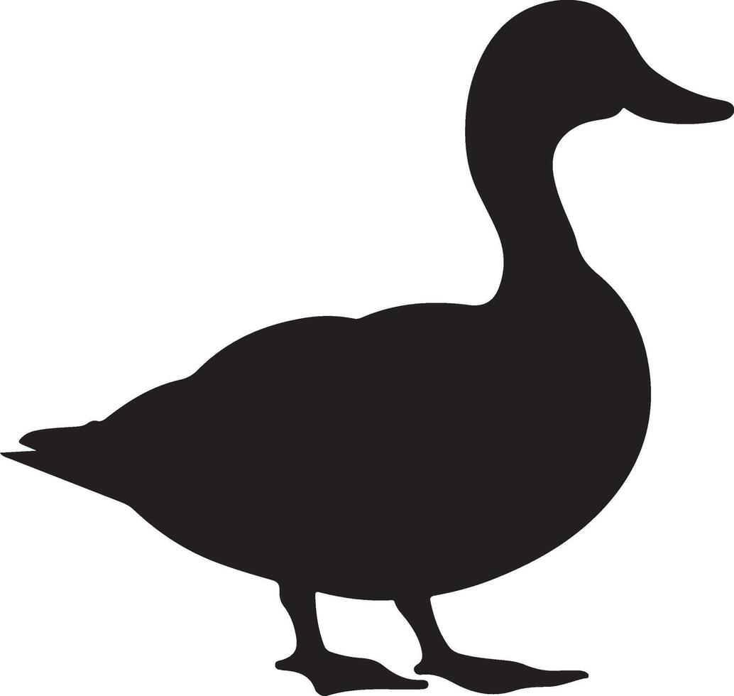 Duck Silhouette Vector Illustration White Background