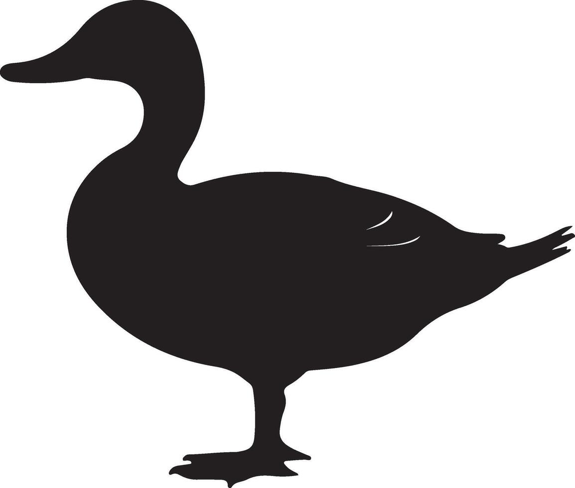 Pato silueta vector ilustración blanco antecedentes
