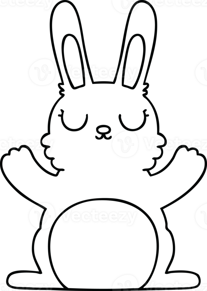 line drawing quirky cartoon rabbit png