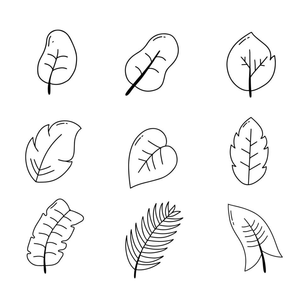 Leaf doodle line vector illustration