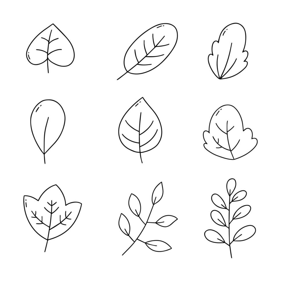 Leaf doodle line vector illustration