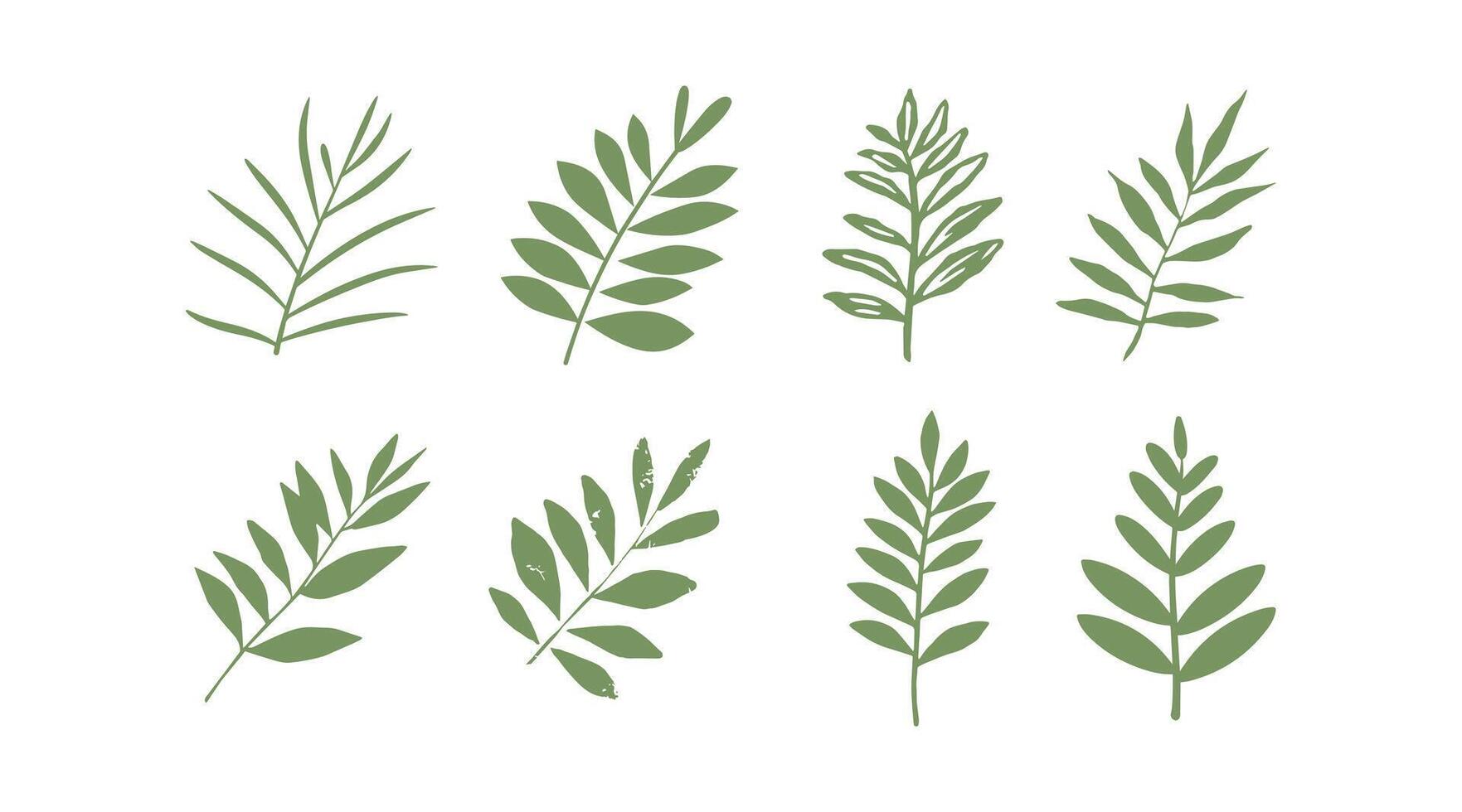 vector collection of illustrations of tropical foliage leaves