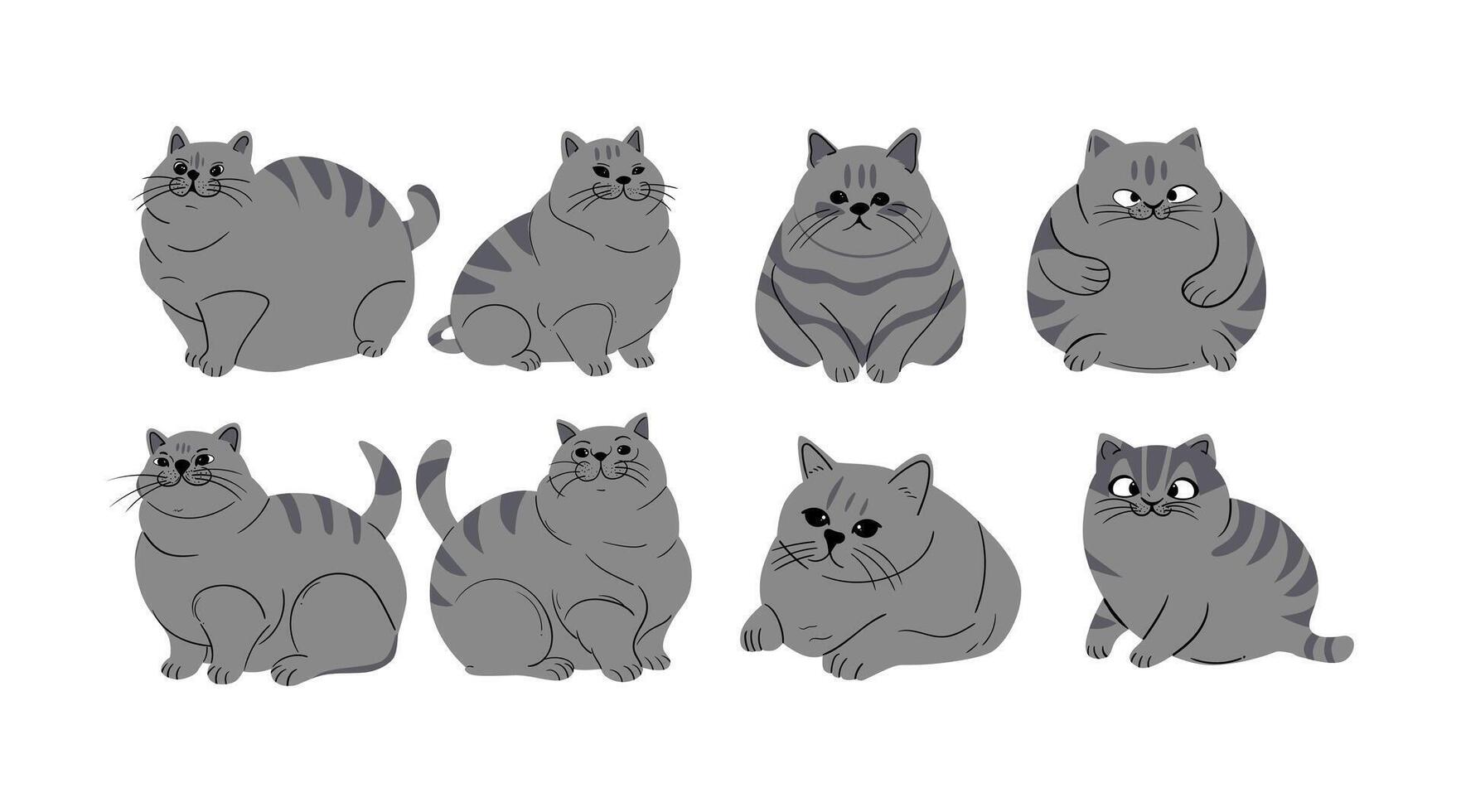 collection of vector illustrations of cute fat cats