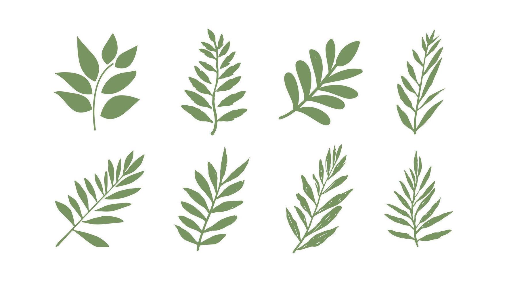 vector collection of illustrations of tropical foliage leaves