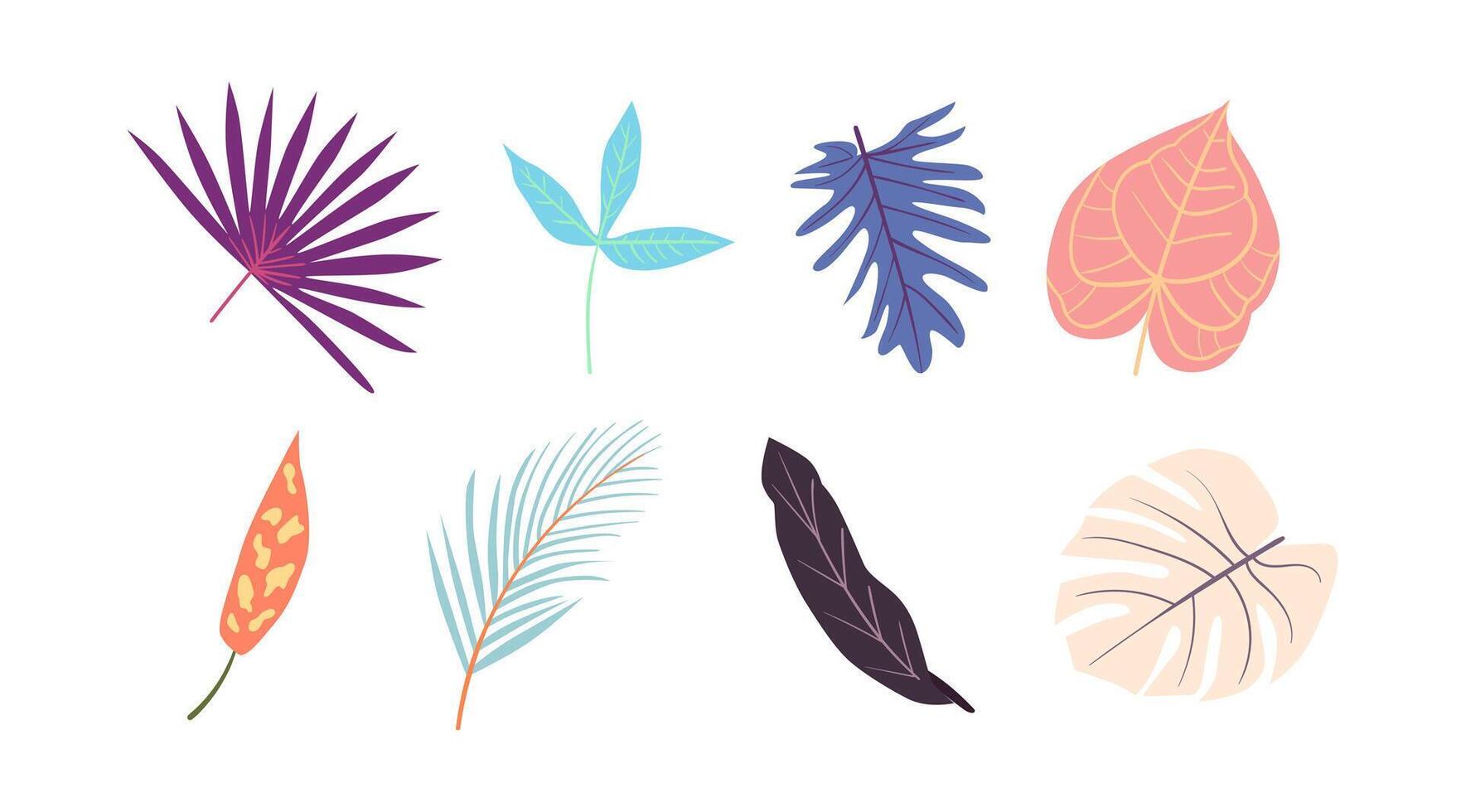 vector collection of illustrations of tropical foliage leaves