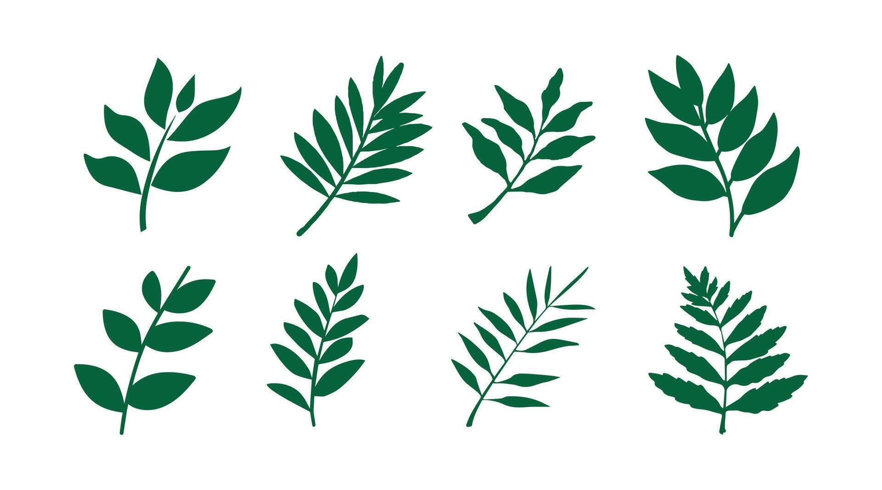 vector colección de ilustraciones de tropical follaje hojas