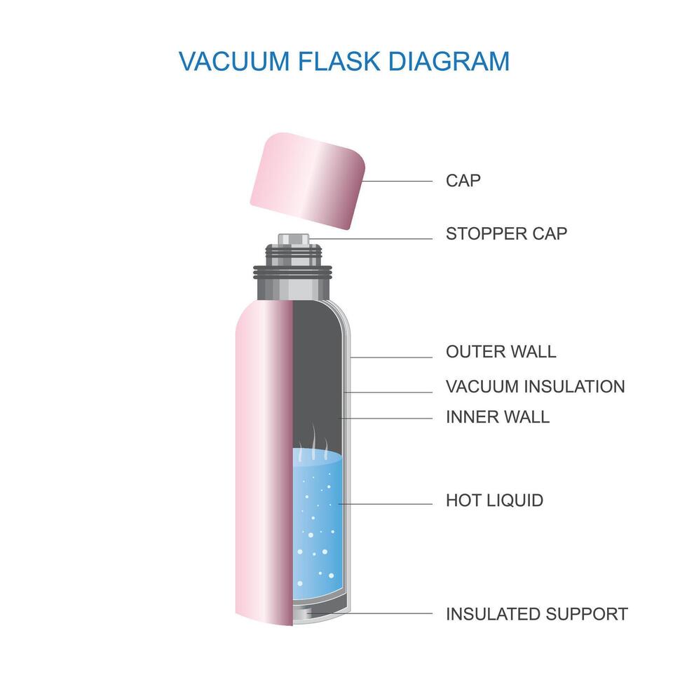 Vacuum flask or thermo flask full diagram. Dewarflask or thermos vector illustration.Diagram showing vacuum flask layers. Cross section cut away view of thermos vacuum flask.