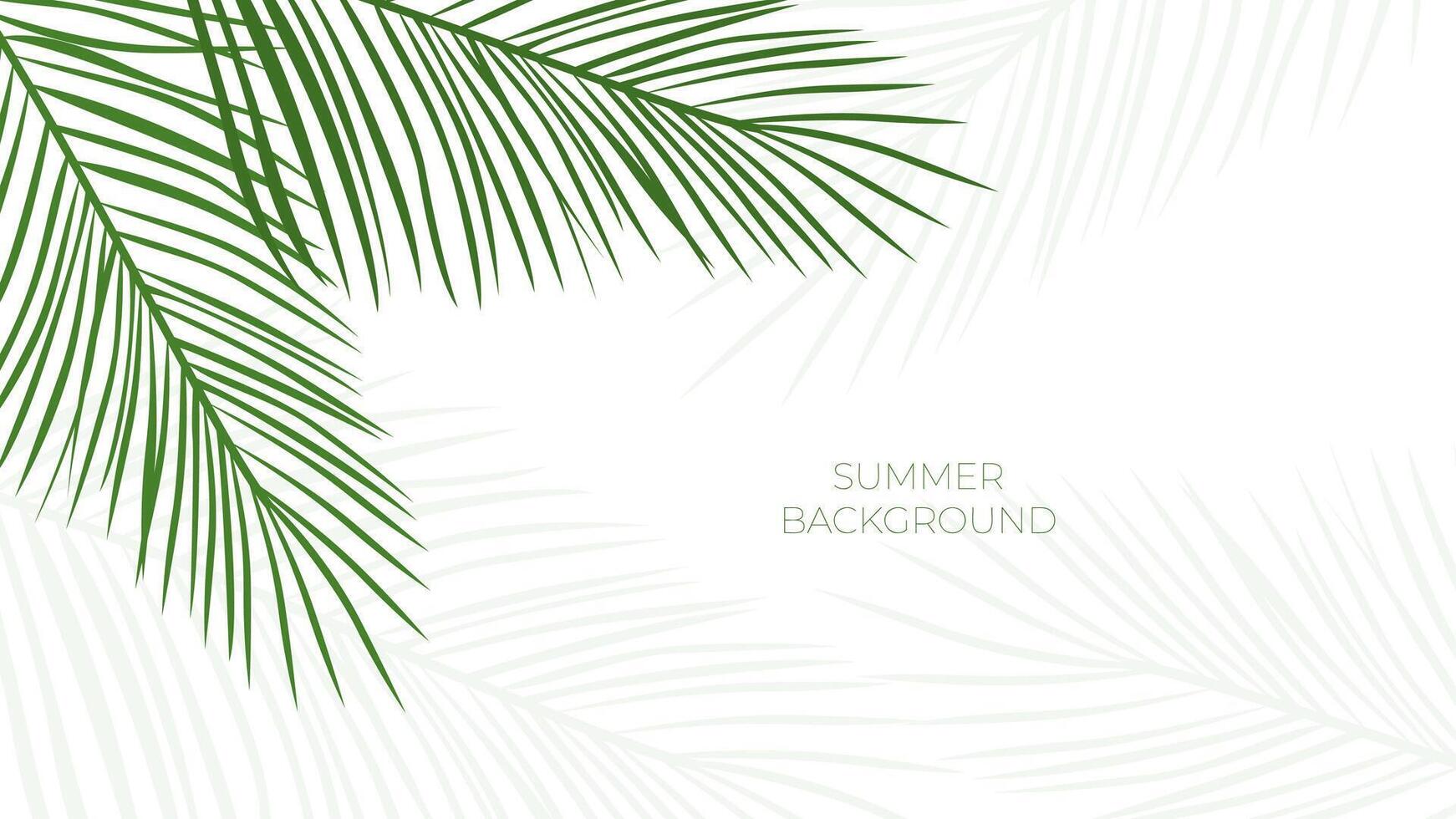 tropical leaves background vector