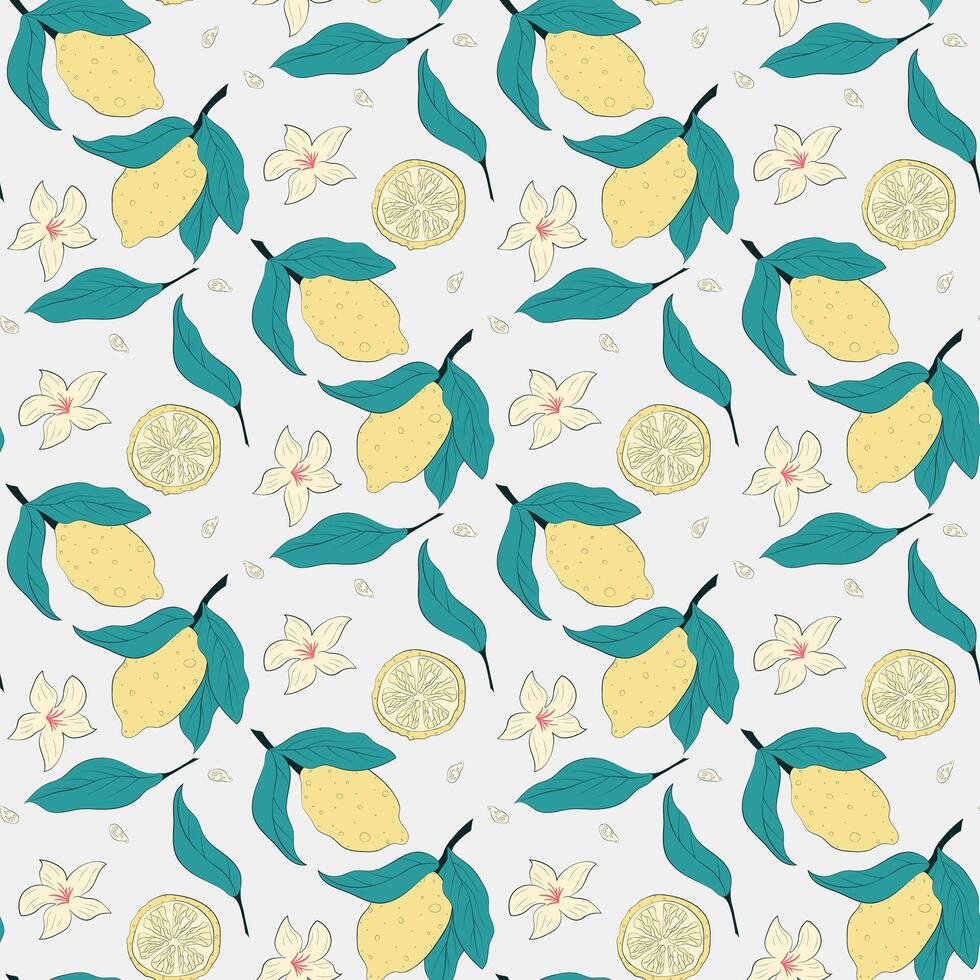 citrus pattern design vector