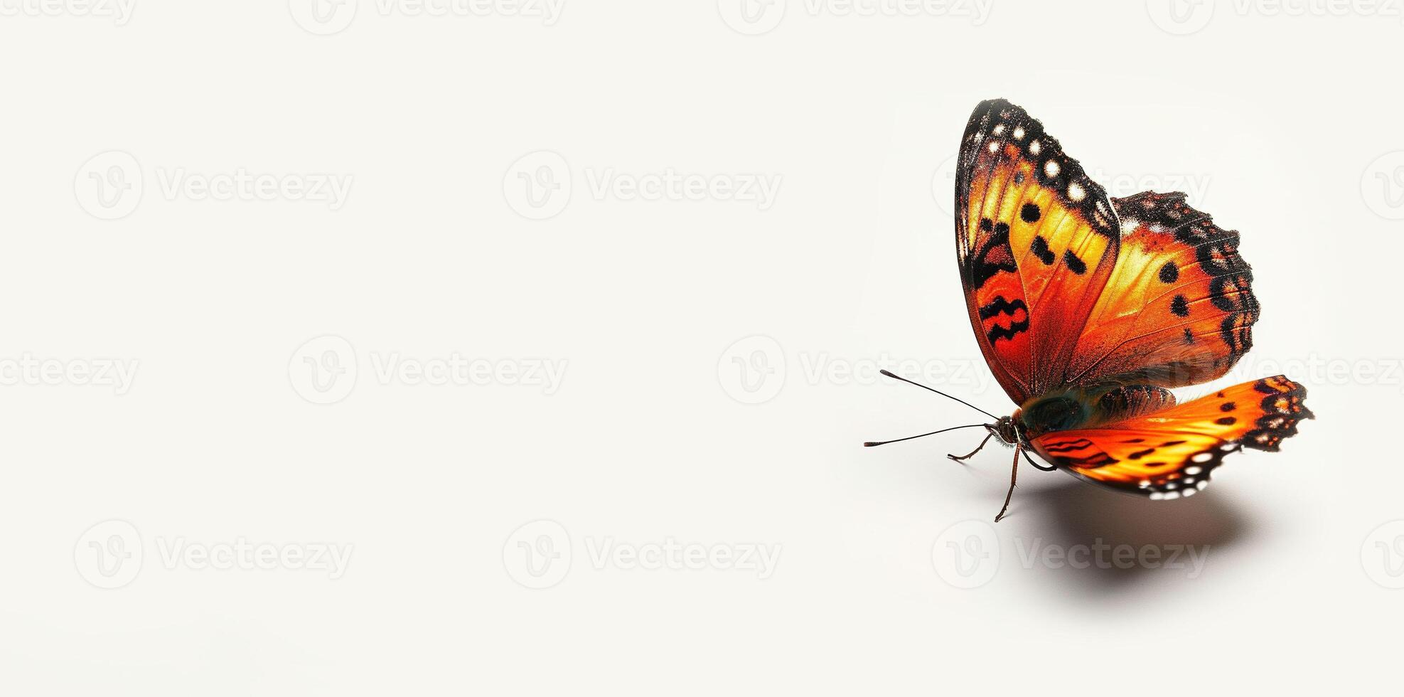 AI generated Red, orange, and yellow butterfly isolated on white background with copy space, graphic resource backdrop. Symbol of transformation, hope, and rebirth photo
