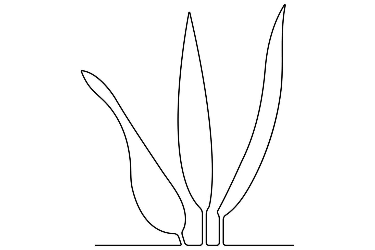 Continuous single line art drawing of plant can be for plants, agriculture, seeds outline vector