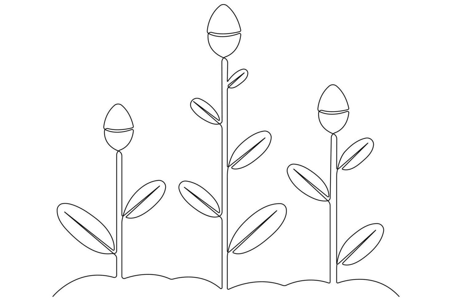 Continuous single line art drawing of plant can be for plants, agriculture, seeds outline vector