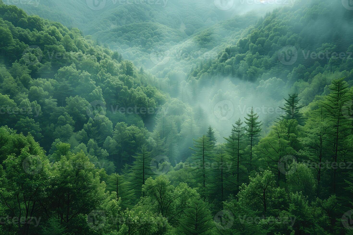 AI generated Foggy morning in the mountain forest, aerial view photo